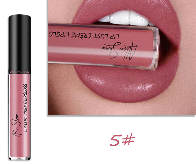 Cream texture lip makeup product image showing cosmetic packaging for daily makeup and beauty routines and product reference.