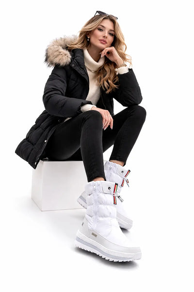 Product model 1