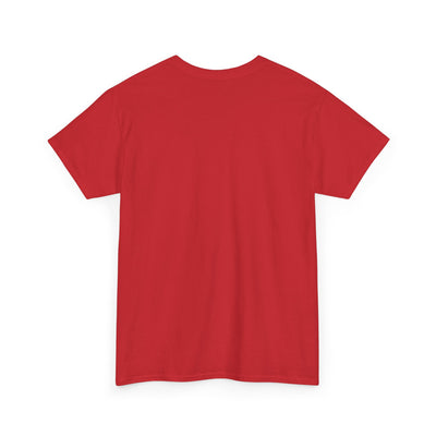 Product model 13