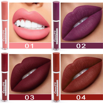 Product model 6