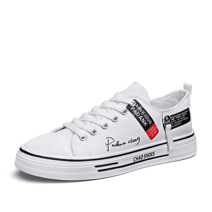 Men's Canvas Skate Sneakers - Classic Casual Style Men!