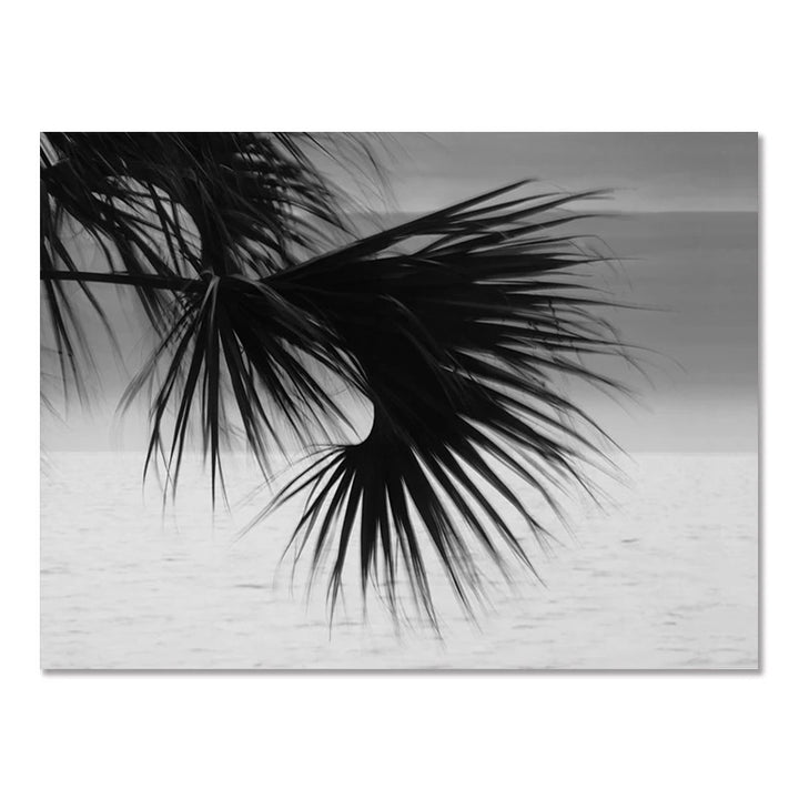 Timeless Coastal Wall Print – Nordic Black &amp; White Surf Decor


