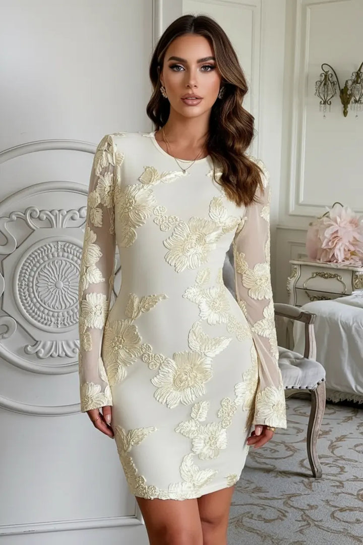 embroidered long sleeve dress floral mesh overlay with lining for elegant going-out looks
