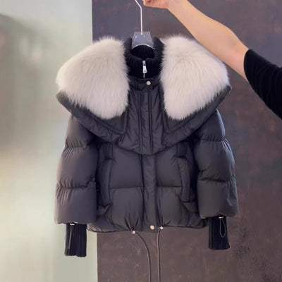 Product model 7