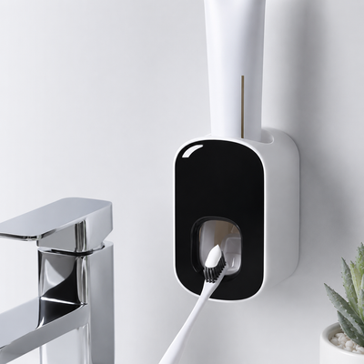 Product model 1