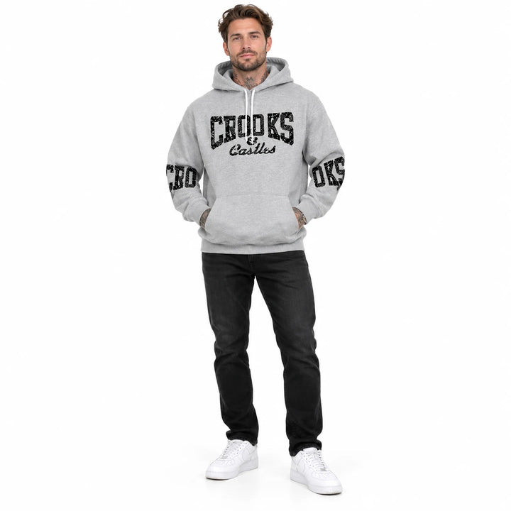Full-length male model wearing a Gray graphic hoodie with chest and sleeve prints on a white studio background